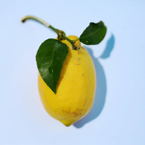 Discover the Origins and Craftsmanship Behind Citrus Lip Balm Eminence