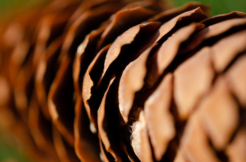 Discover the Best Ways to Utilize Summer Fridays Lip Balm Hot Cocoa to Combat Dry Lips