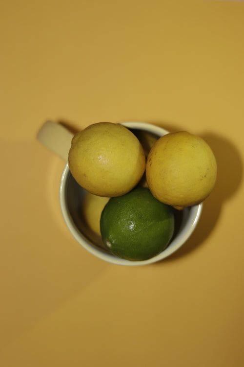 The Benefits of Lip Balm with Lemon Balm You Didn't Know About