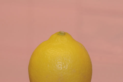 How Lemon Balm Lip Balm Transforms Your Skincare Routine