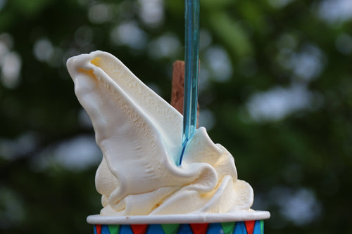 The Best Features of Summer Fridays Lip Balm Vanilla Revealed