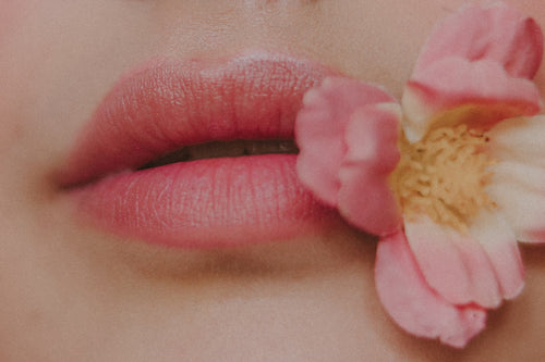 The Ultimate Guide to Lip Balm With Lanolin for Hydrated Lips