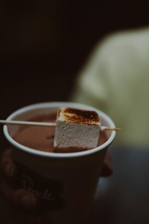 Exploring Summer Fridays Lip Balm and Its Irresistible Hot Cocoa Flavor