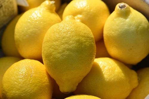 The Benefits of Lemon Balm Lip Salve for Soothing and Healing Lips