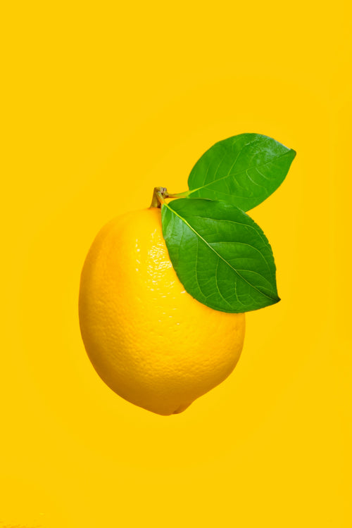 The Ultimate Guide to Softer Lips with Lemon Balm Lip Salve