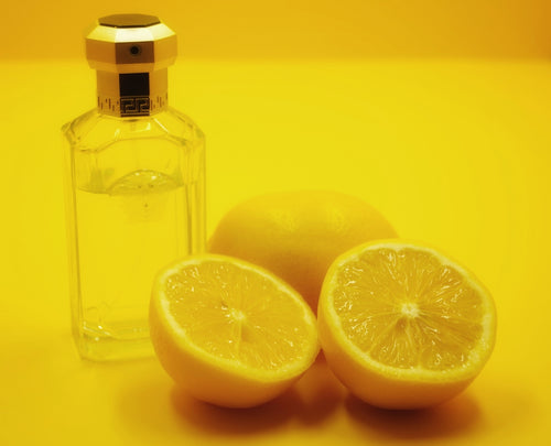 The Ultimate Guide to Making Your Own Lemon Balm Lip Ointment at Home