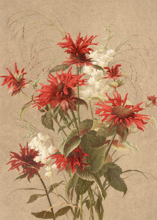 Discover the Best Flowers for Lip Balm and How They Transform Your Skincare Routine
