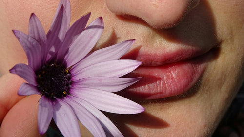 Unlock Your Perfect Pout with the Summer Fridays Lip Gloss Set