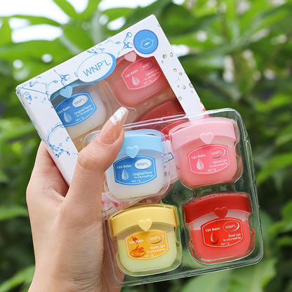 4-8 Pack Fruit Flavored Lip Care Gift Set - LIPOXI