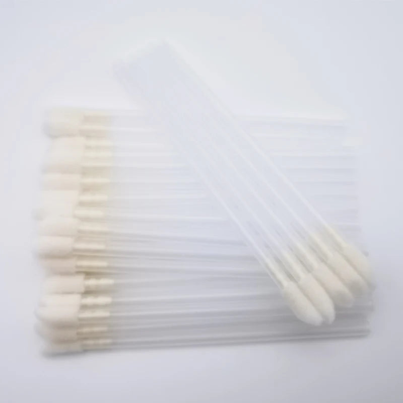 Disposable Lip Brush Set