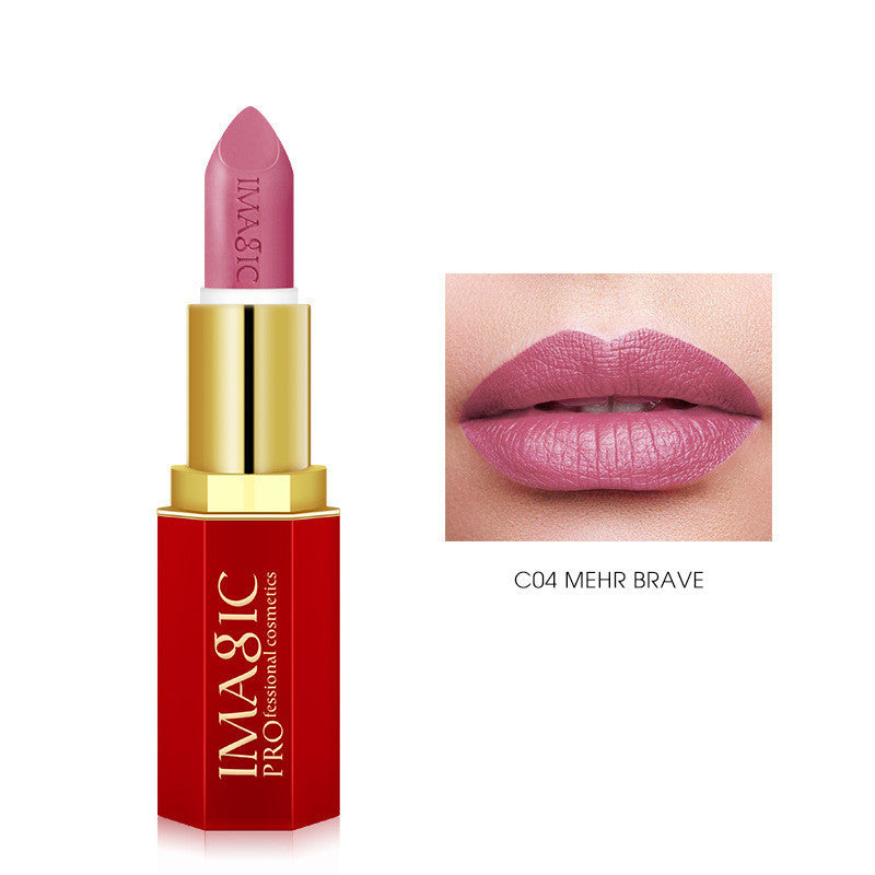 Red Tube Lipstick Series Matte Lip Balm - LIPOXI