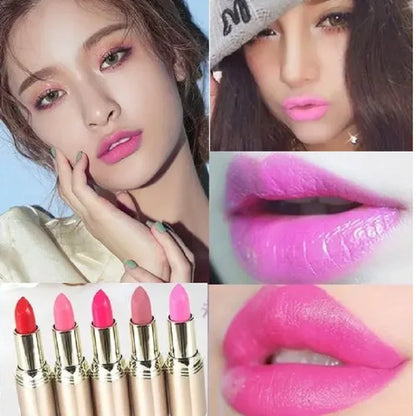 Matte Lipstick 24 Hour Long Lasting Waterproof Velvet Lipstick - LIPOXI