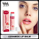 Hydrating Ceramide Lip Balm